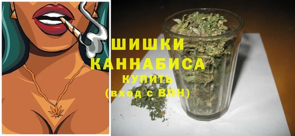 винт Осинники