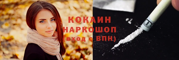 винт Осинники