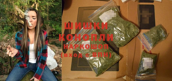дмт Осташков