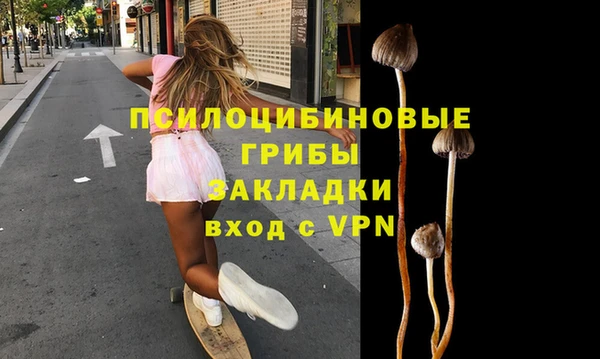 винт Осинники